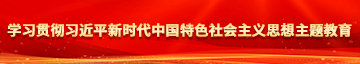 奸网站肏学习贯彻习近平新时代中国特色社会主义思想主题教育